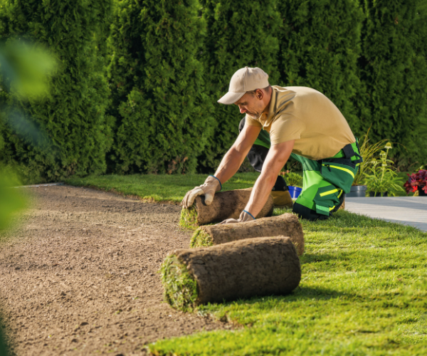 Legacy ETA Web images (13)