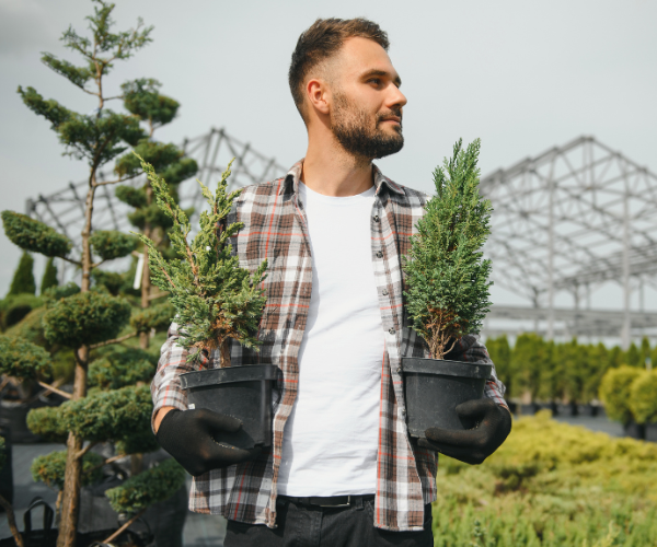 Legacy ETA Web images (15)