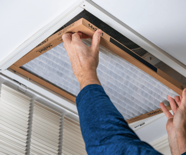 Legacy ETA Web images (4)