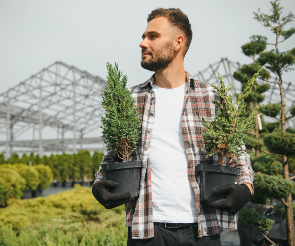 Legacy ETA Web images (14)