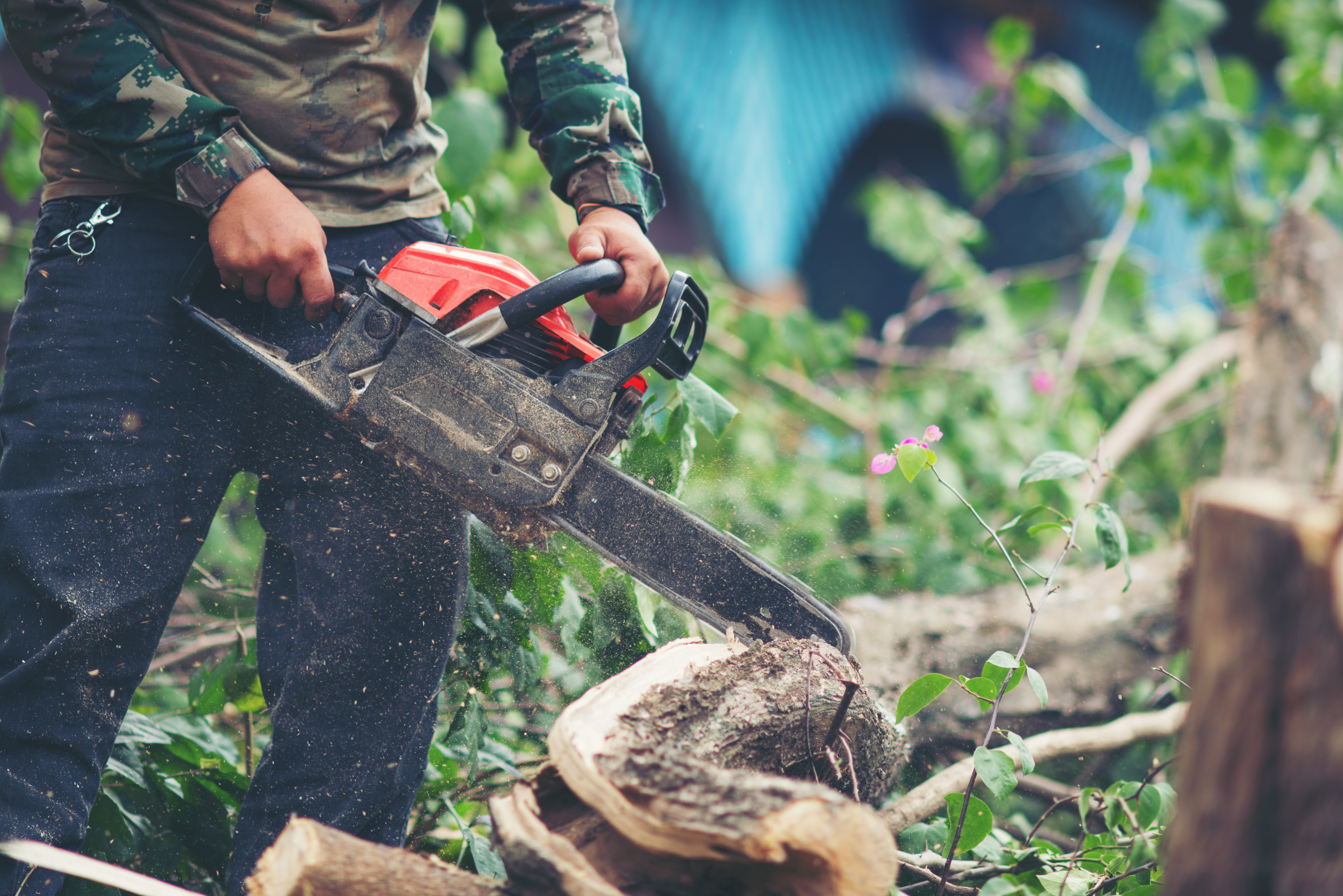 Tree and Plant Care, Annual Renewal Revenue